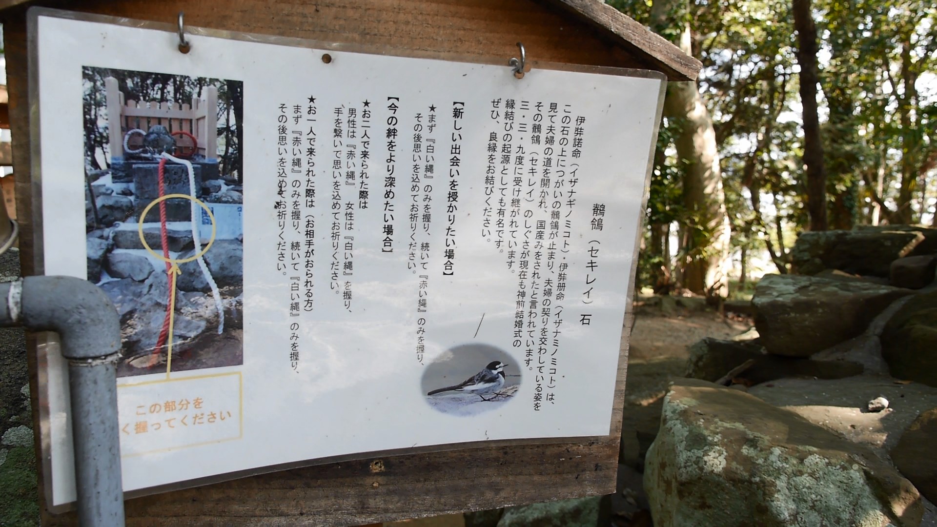 00034-mts_snapshot_00-04_2016-11-07_20-40-56