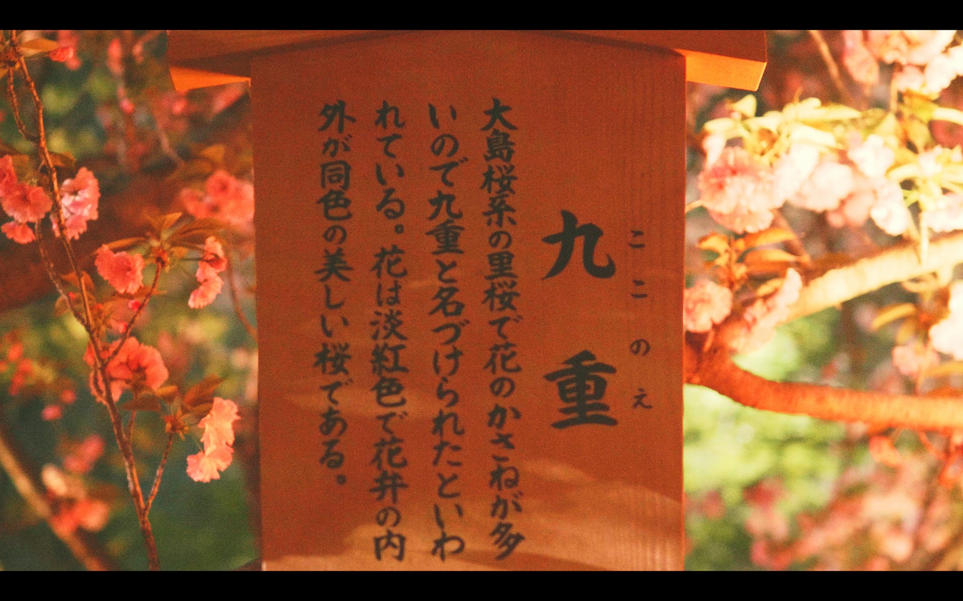 スクリーンショット 2026-04-13 191617