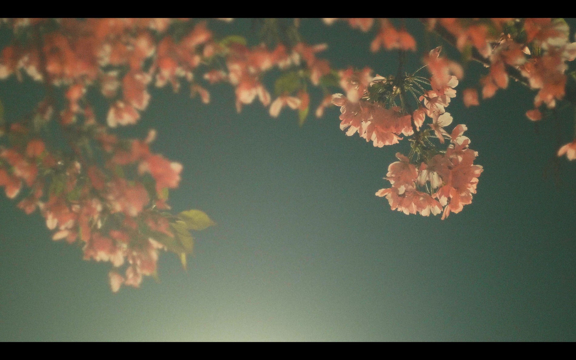 スクリーンショット 2026-04-13 191925