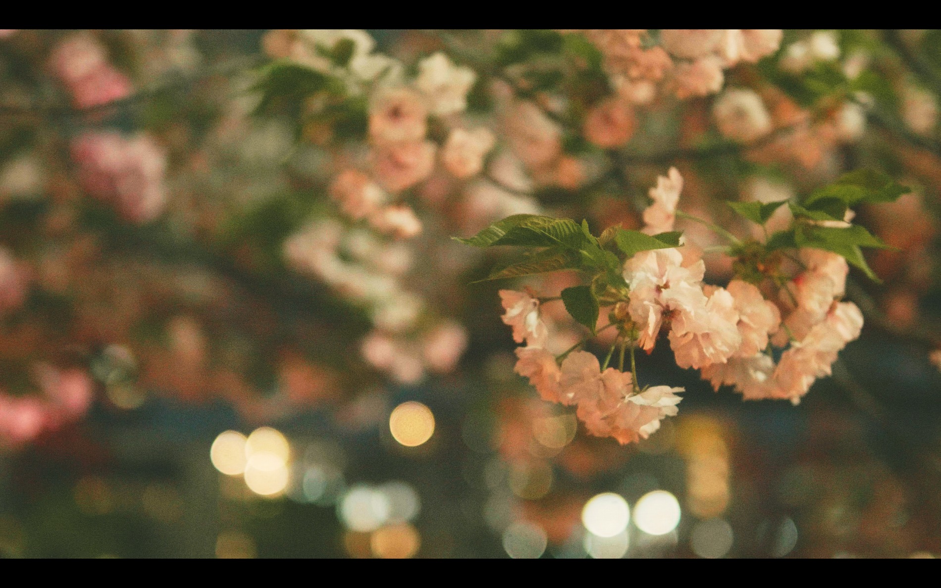 スクリーンショット 2026-04-13 191122