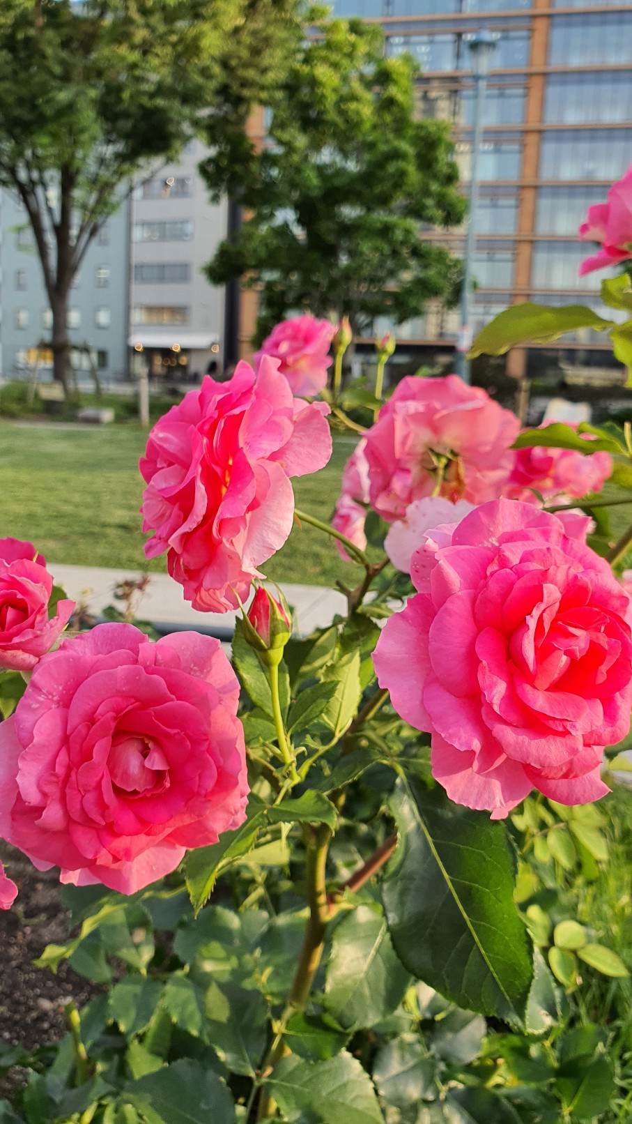 20210525_175450_copy_907x1612