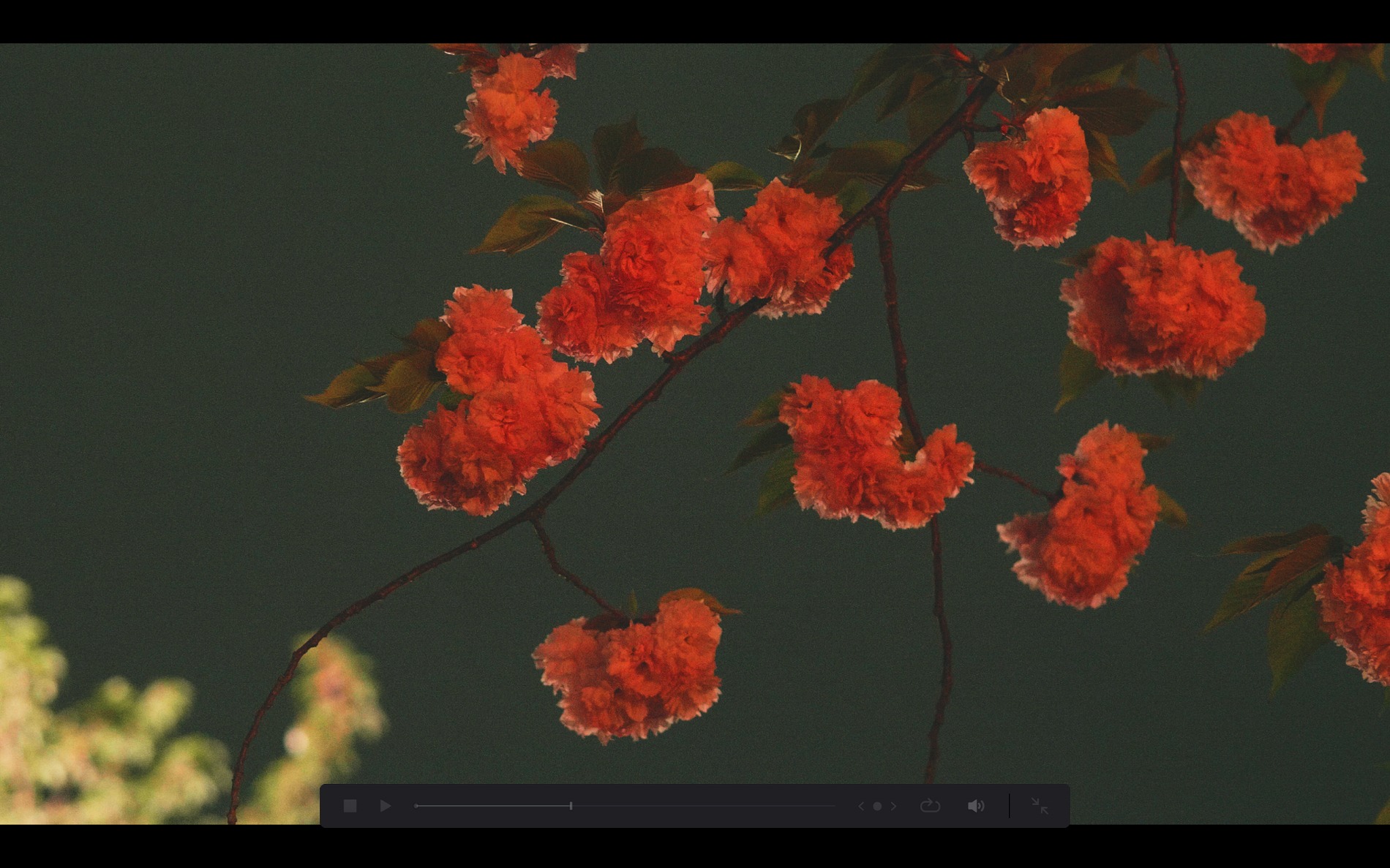 スクリーンショット 2026-04-13 191311