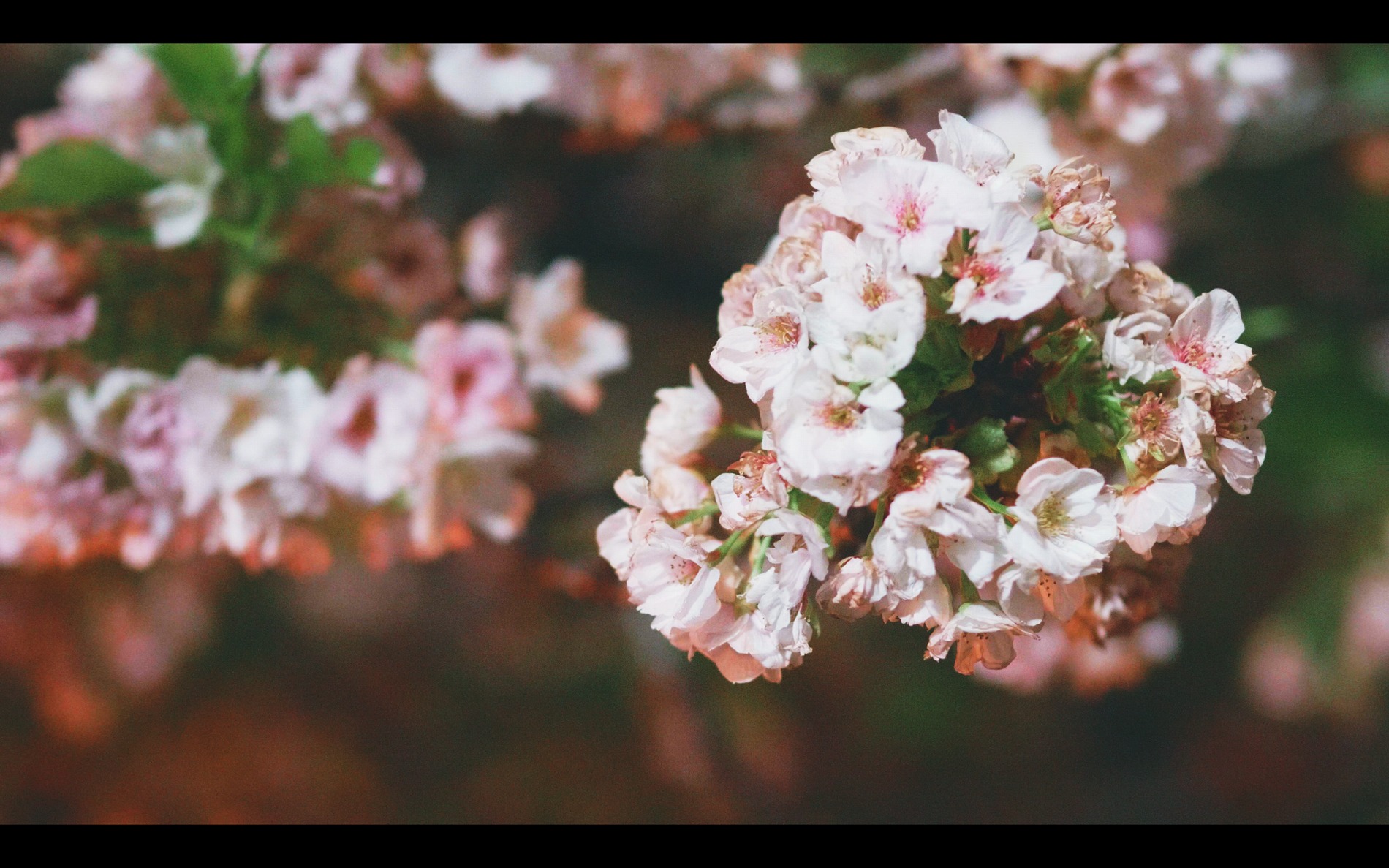 スクリーンショット 2026-04-13 191841