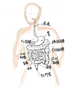 大腸がん画像