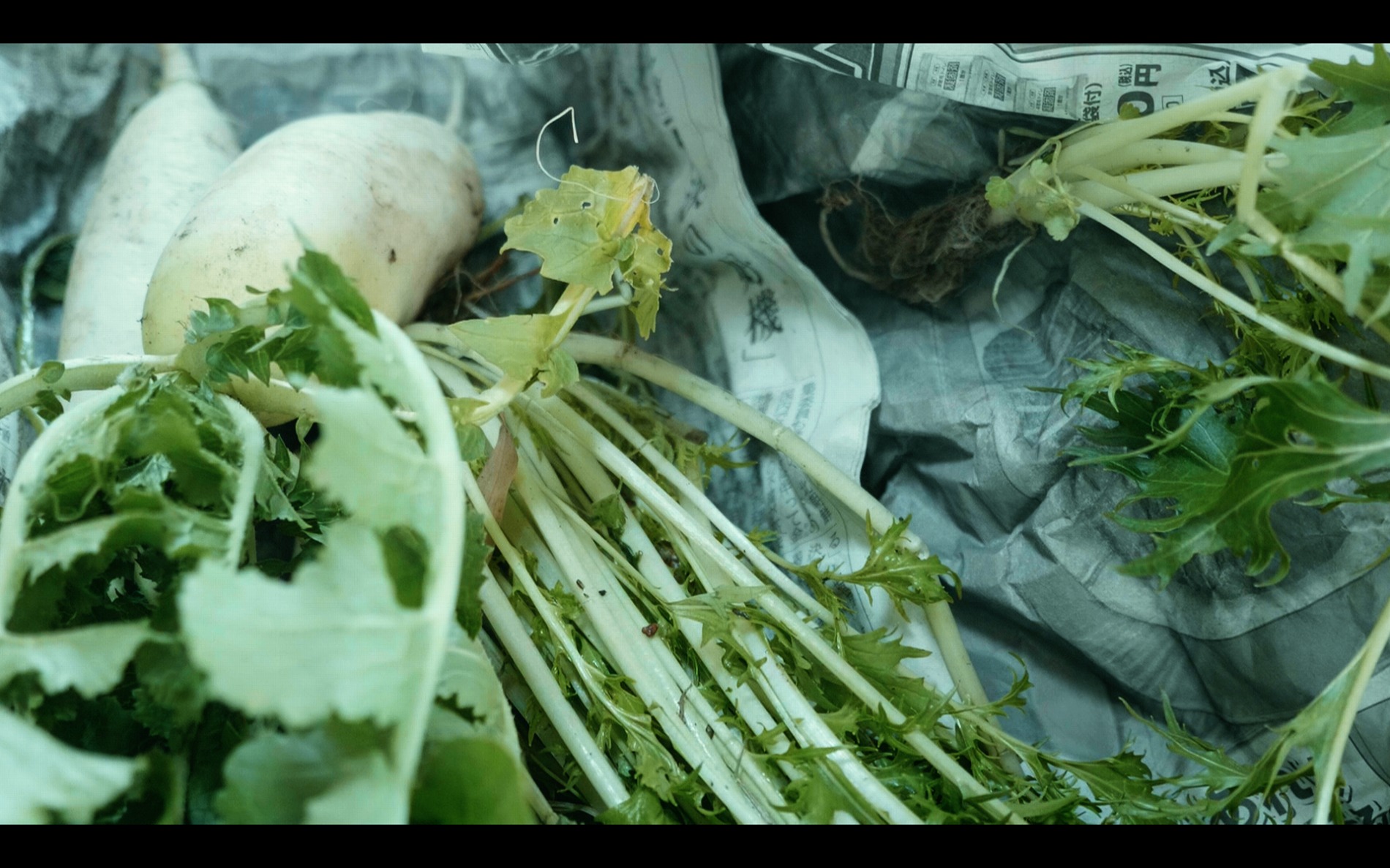 スクリーンショット 2025-12-20 161640