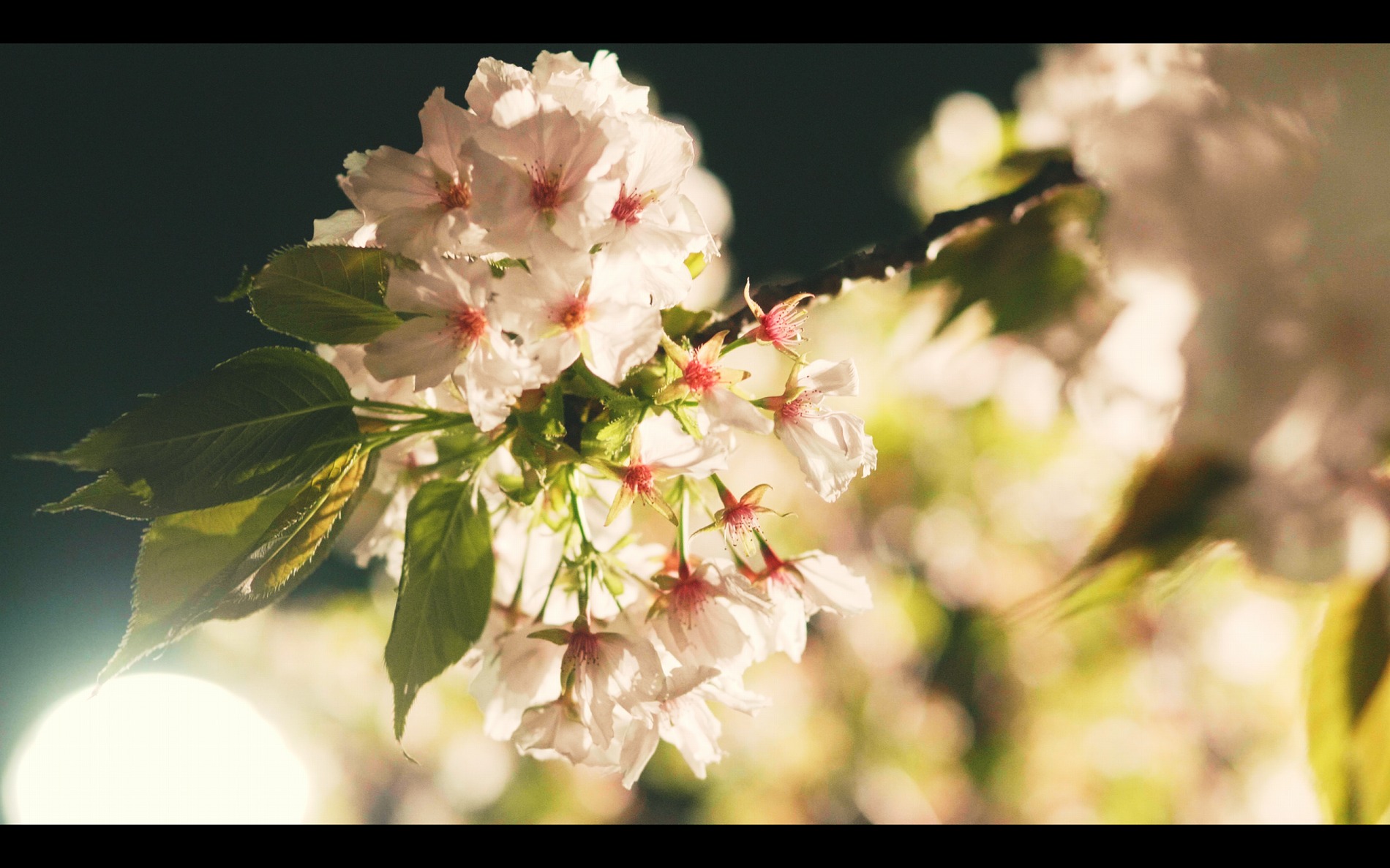 スクリーンショット 2026-04-13 191727