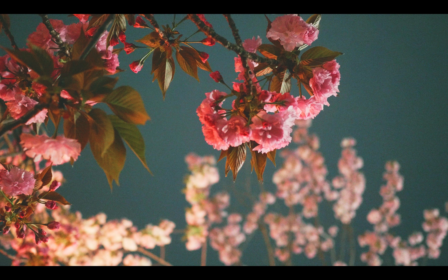 スクリーンショット 2026-04-13 190641