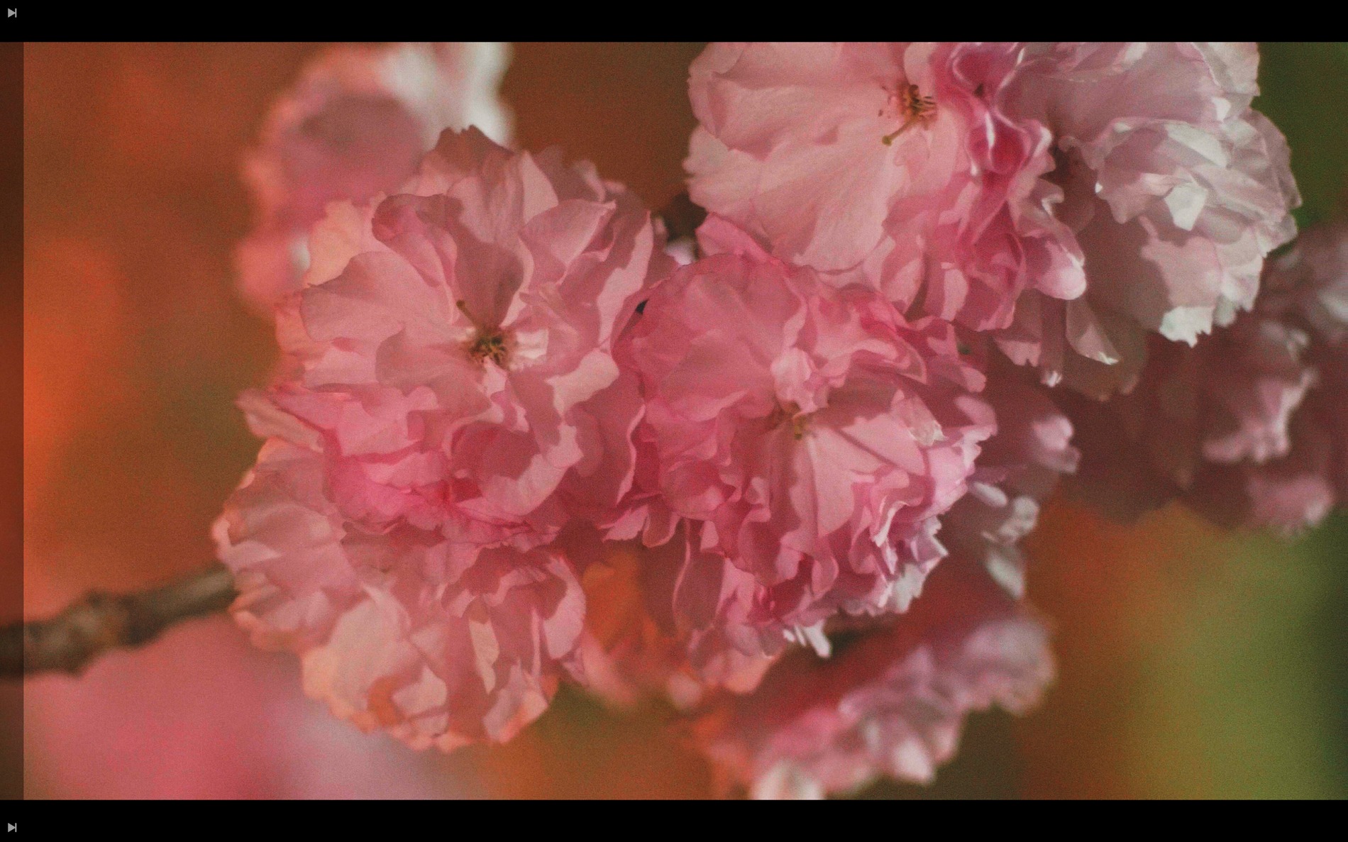 スクリーンショット 2026-04-13 190702