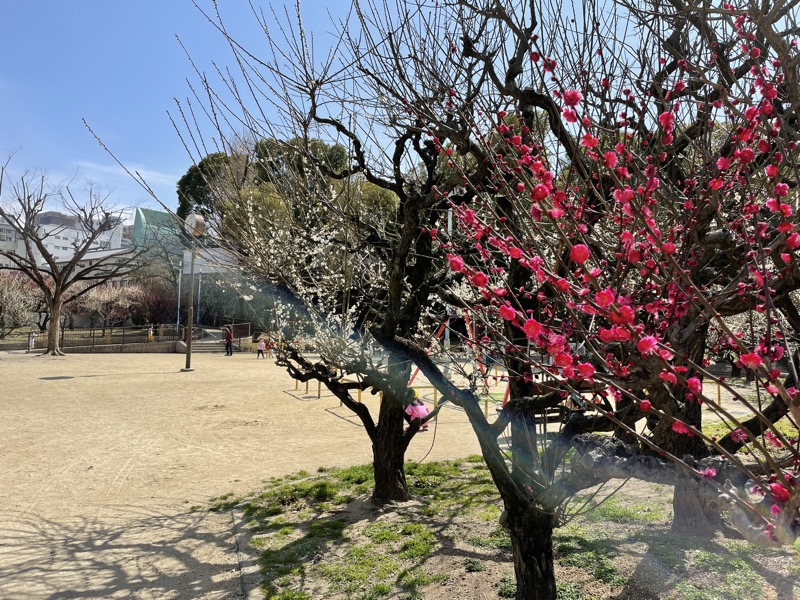 8AE61A40-9836-4C9D-B002-078CB8FC2DBA