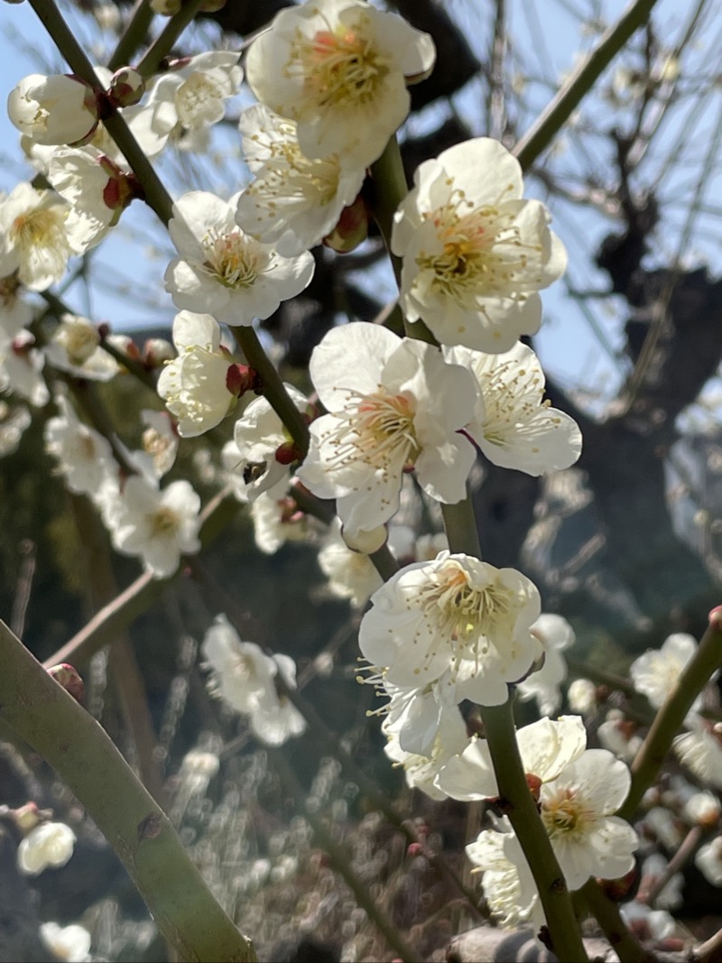 EC77D22F-29C3-4837-8408-20C7381C441D