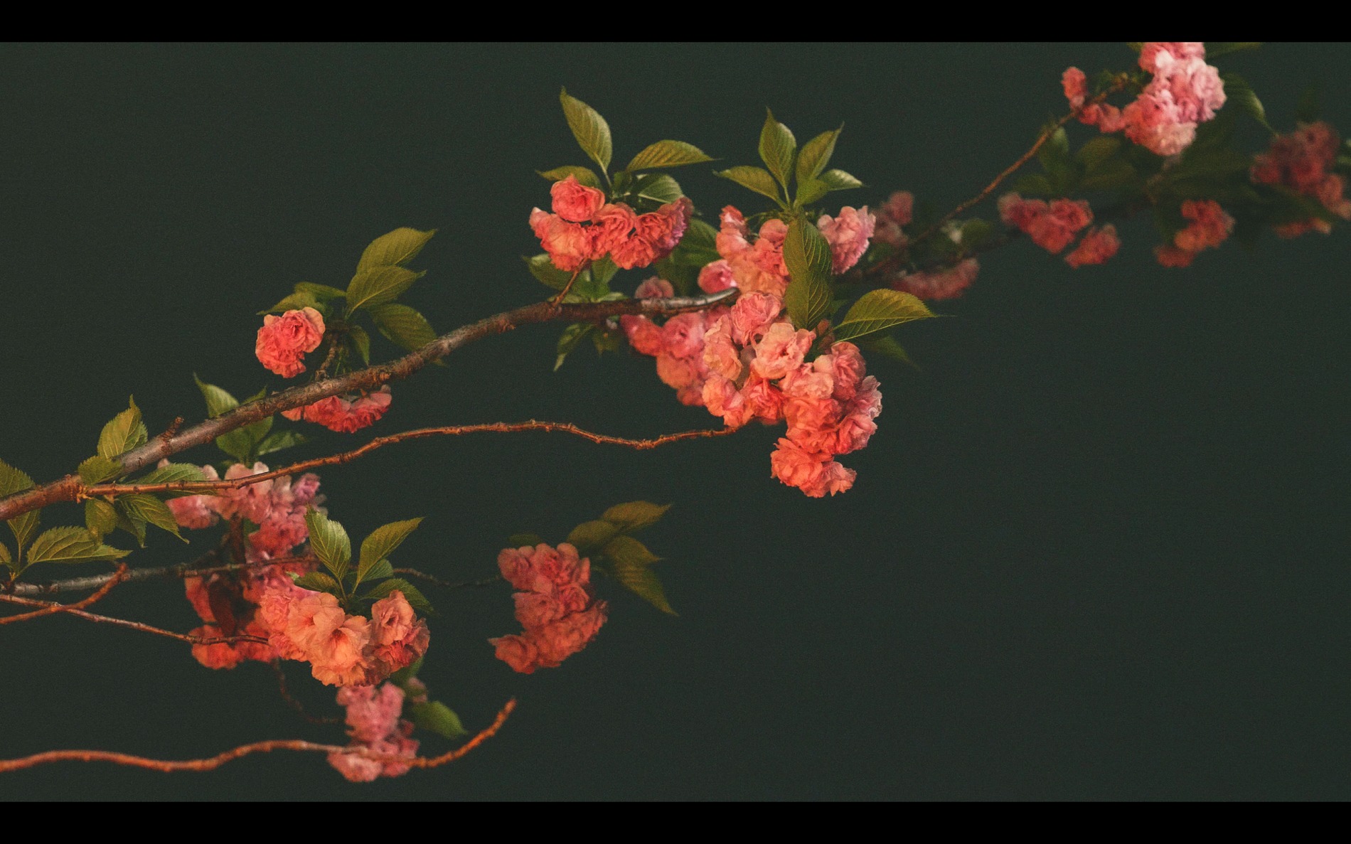 スクリーンショット 2026-04-13 191400