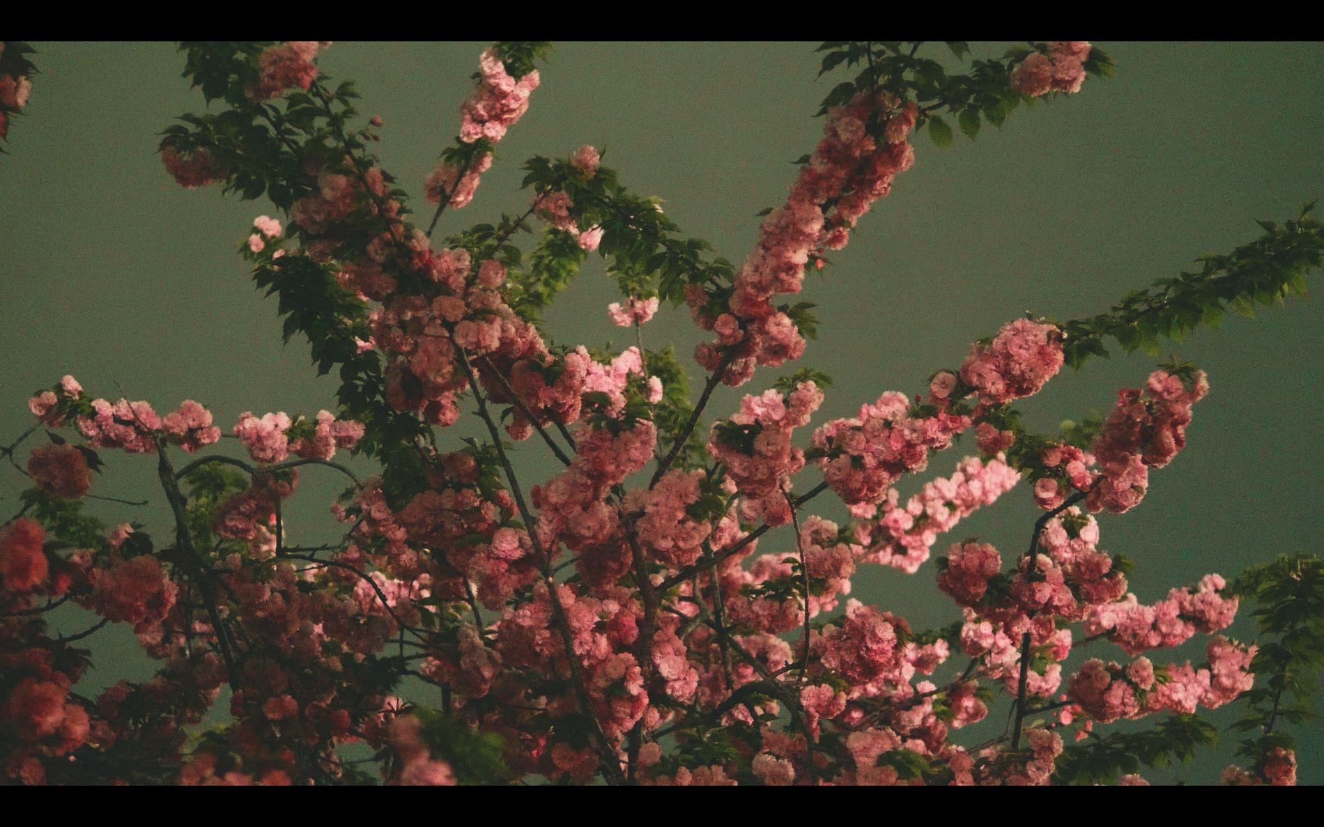 スクリーンショット 2026-04-13 191651