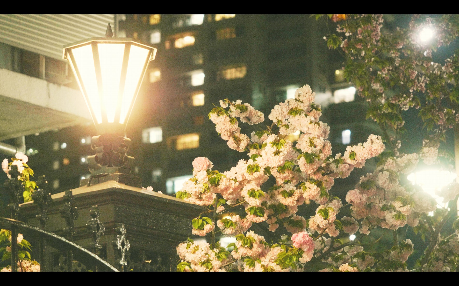 スクリーンショット 2026-04-13 192100