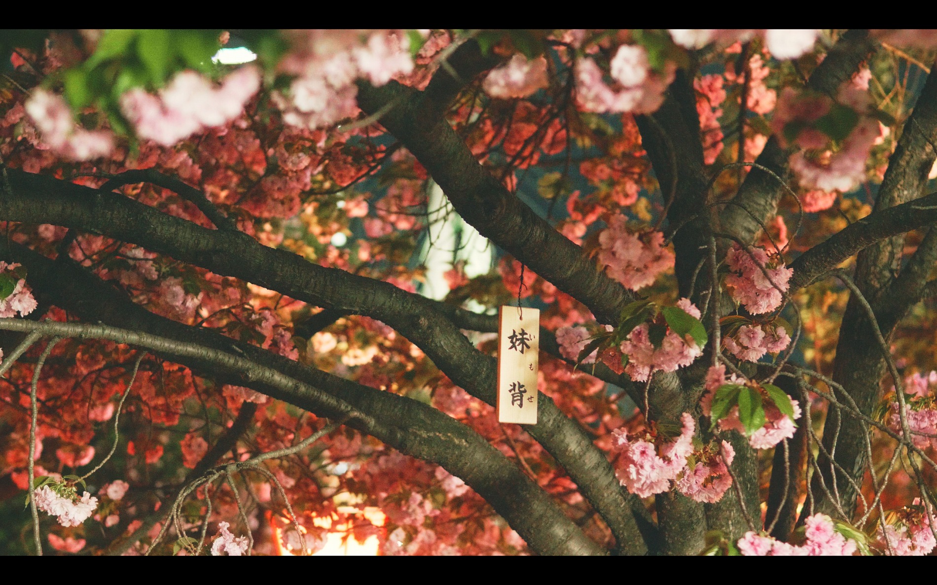 スクリーンショット 2026-04-13 190518