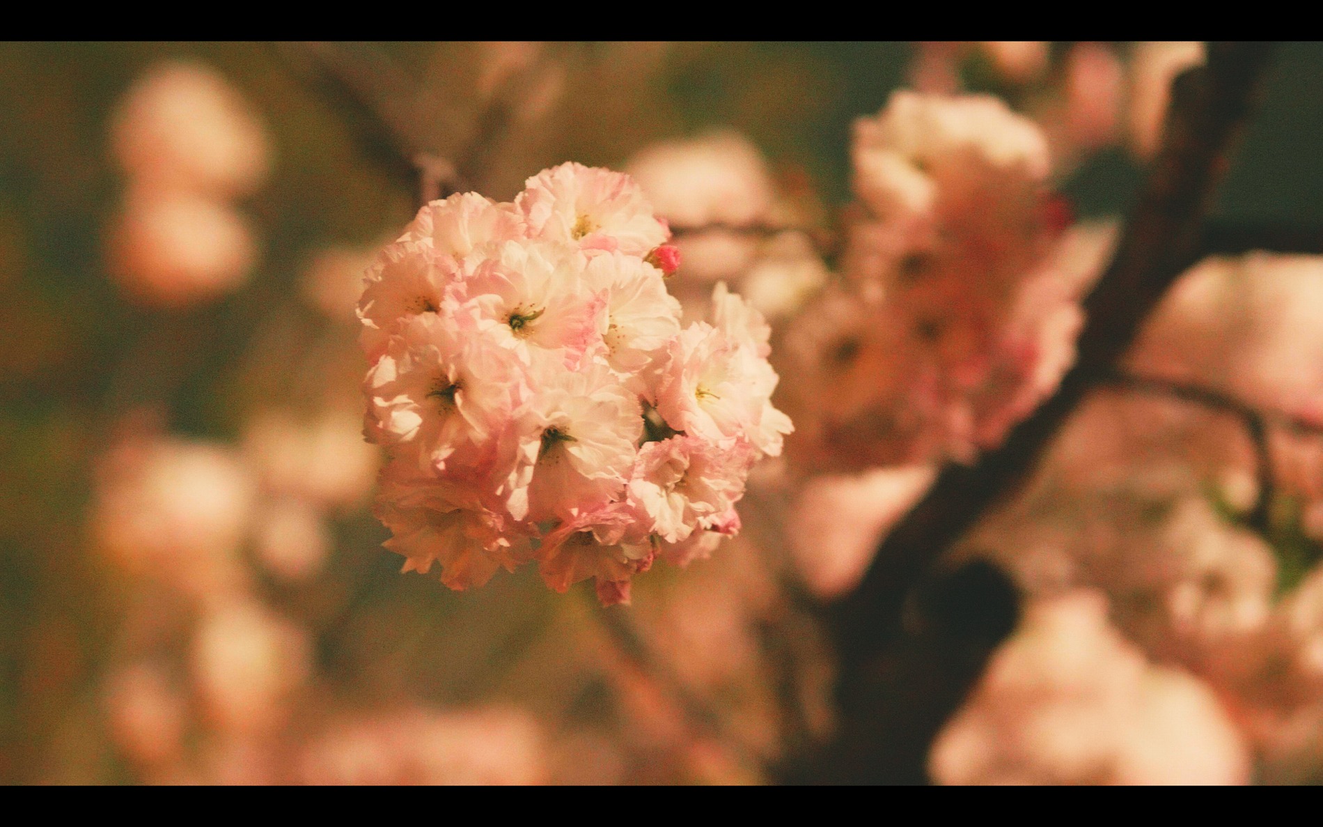 スクリーンショット 2026-04-13 191434